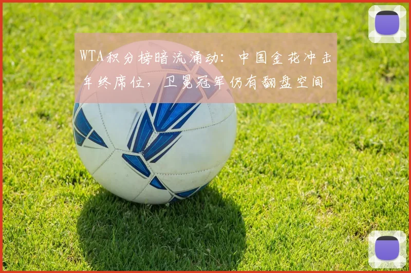 WTA积分榜暗流涌动:中国金花冲击年终席位,卫冕冠军仍有翻盘空间 - 2026世界杯推荐