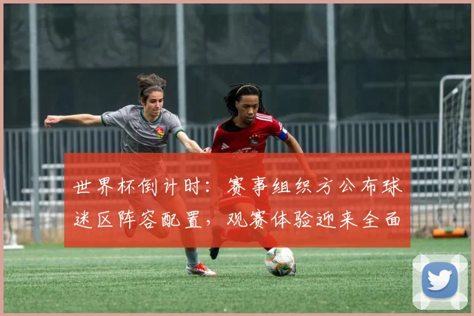 世界杯倒计时:赛事组织方公布球迷区阵容配置,观赛体验迎来全面升级 - 2026世界杯推荐
