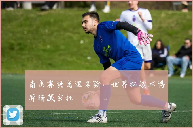 南美赛场高温考验，世界杯战术博弈暗藏玄机 - 2026世界杯推荐