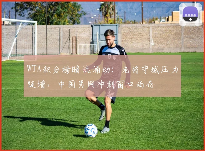 WTA积分榜暗流涌动:老将守城压力陡增,中国男网冲刺窗口尚存 - 2026世界杯推荐